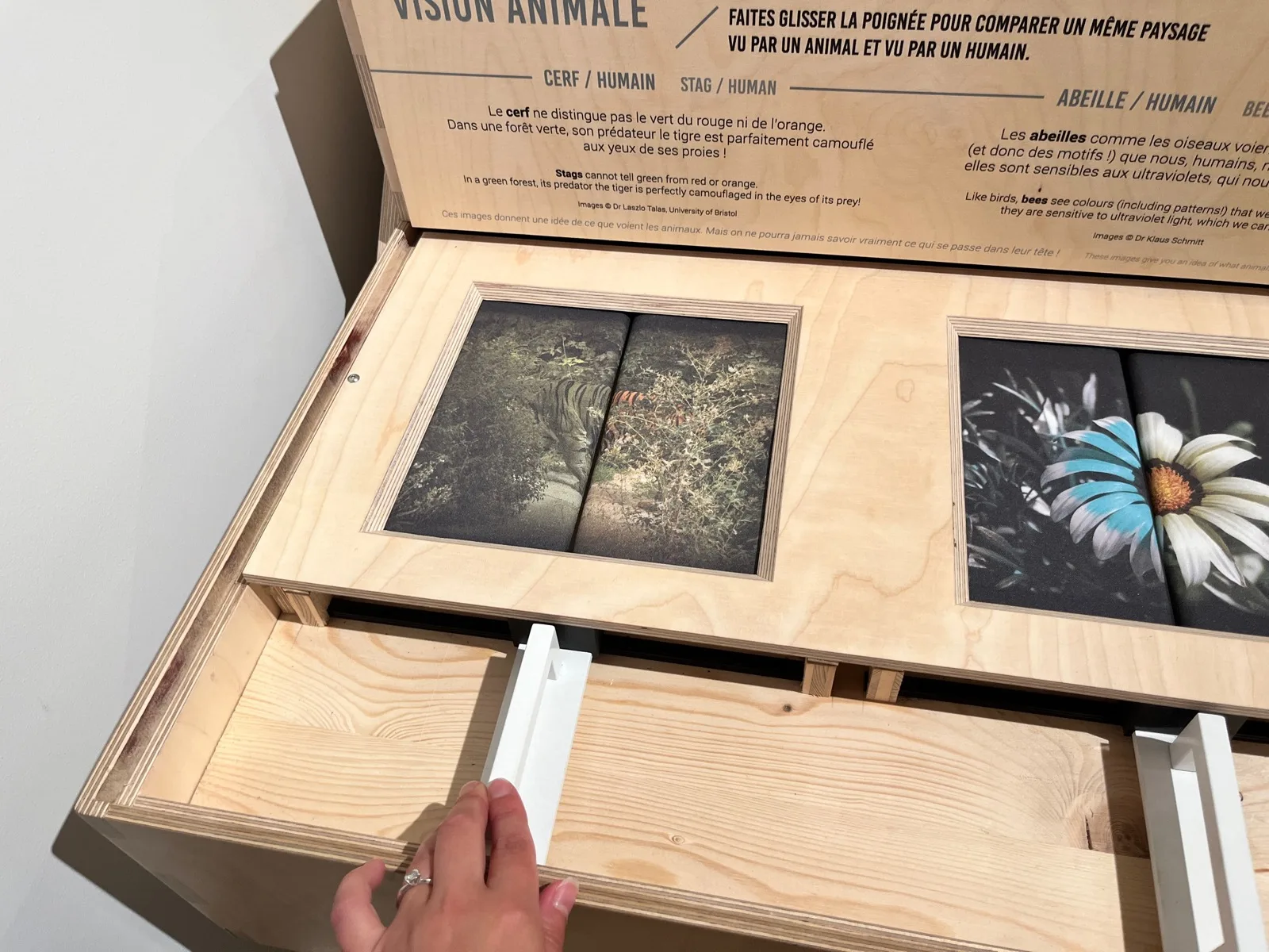 Animaux – Exposition itinérante Couleurs